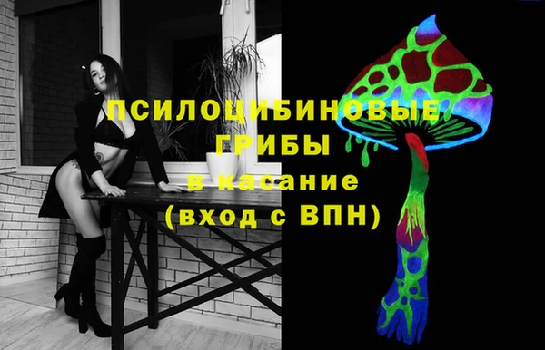 Альфа ПВП Кодинск